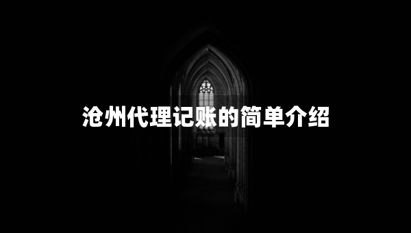 滄州代理記賬的簡單介紹