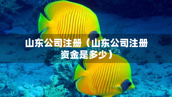 山東公司注冊（山東公司注冊資金是多少）
