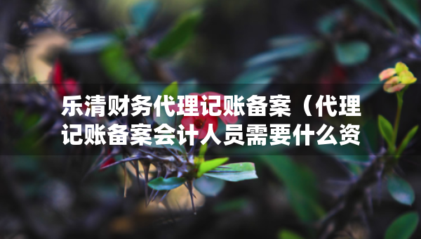 樂清財(cái)務(wù)代理記賬備案（代理記賬備案會(huì)計(jì)人員需要什么資料）