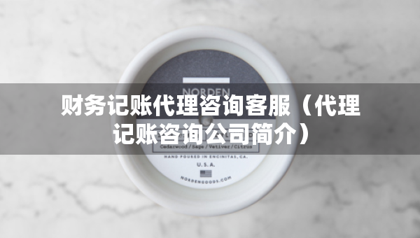財務(wù)記賬代理咨詢客服（代理記賬咨詢公司簡介）