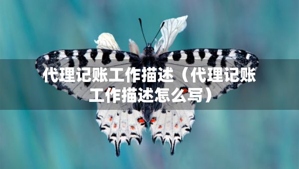 代理記賬工作描述（代理記賬工作描述怎么寫）