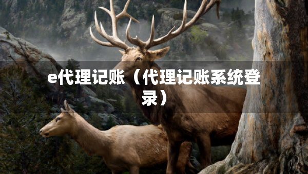 e代理記賬（代理記賬系統(tǒng)登錄）