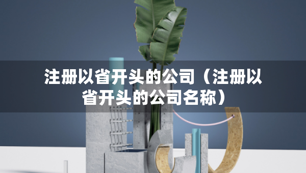 注冊以省開頭的公司（注冊以省開頭的公司名稱）