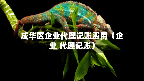 成華區(qū)企業(yè)代理記賬費用(企業(yè) 代理記賬) 成華區(qū)企業(yè)代理記賬費用(企業(yè) 代理記賬)