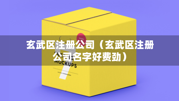 玄武區(qū)注冊公司（玄武區(qū)注冊公司名字好費勁）