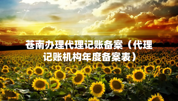 蒼南辦理代理記賬備案（代理記賬機(jī)構(gòu)年度備案表）