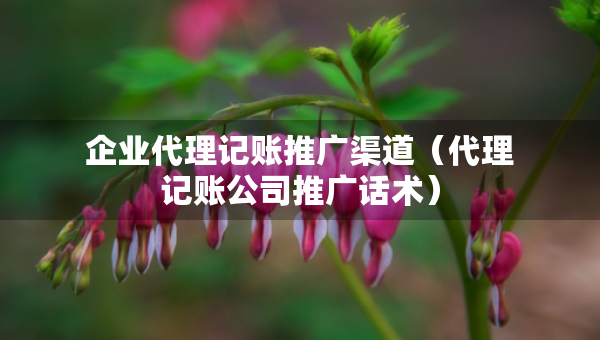 企業(yè)代理記賬推廣渠道（代理記賬公司推廣話術(shù)）