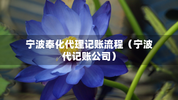 寧波奉化代理記賬流程（寧波代記賬公司）