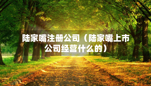 陸家嘴注冊公司（陸家嘴上市公司經(jīng)營什么的）
