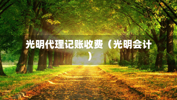 光明代理記賬收費(fèi)（光明會計）
