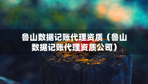 魯山數(shù)據(jù)記賬代理資質(zhì)（魯山數(shù)據(jù)記賬代理資質(zhì)公司）