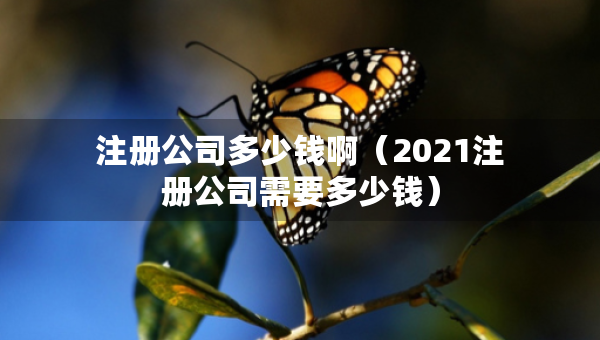 注冊公司多少錢?。?021注冊公司需要多少錢）