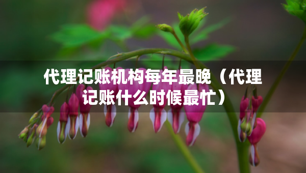 代理記賬機(jī)構(gòu)每年最晚（代理記賬什么時(shí)候最忙）