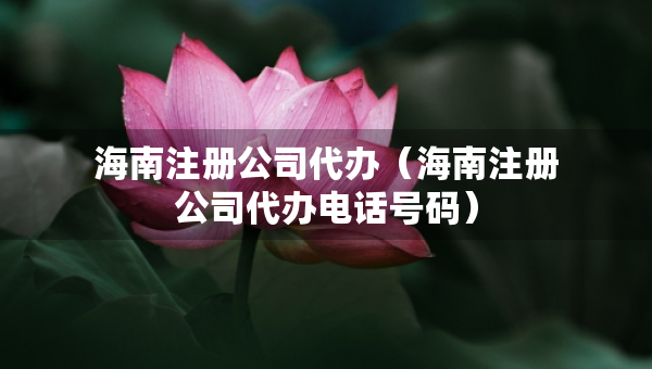 海南注冊公司代辦（海南注冊公司代辦電話號碼）