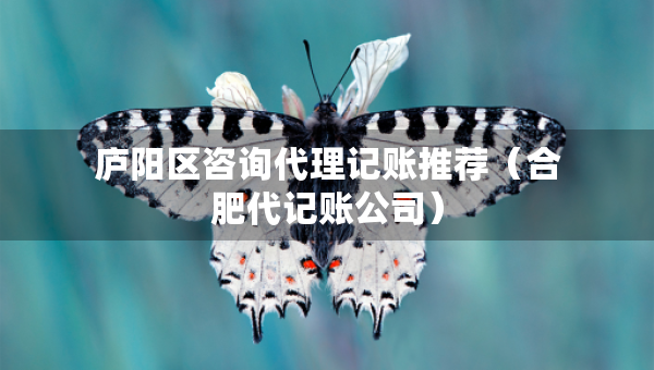 廬陽區(qū)咨詢代理記賬推薦（合肥代記賬公司）