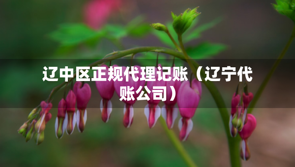 遼中區(qū)正規(guī)代理記賬（遼寧代賬公司）