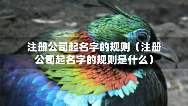 注冊公司起名字的規(guī)則（注冊公司起名字的規(guī)則是什么）