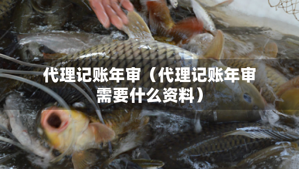 代理記賬年審(代理記賬年審需要什么資料) 代理記賬年審(代理記賬年審需要什么資料)