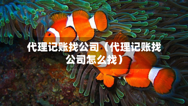 代理記賬找公司(代理記賬找公司怎么找) 代理記賬找公司(代理記賬找公司怎么找)