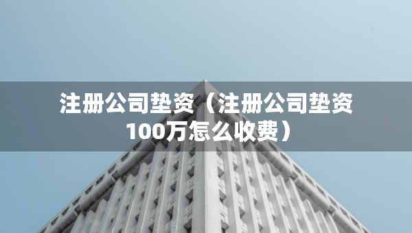 注冊(cè)公司墊資（注冊(cè)公司墊資100萬(wàn)怎么收費(fèi)）