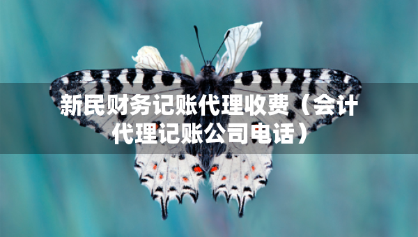 新民財(cái)務(wù)記賬代理收費(fèi)（會(huì)計(jì)代理記賬公司電話）