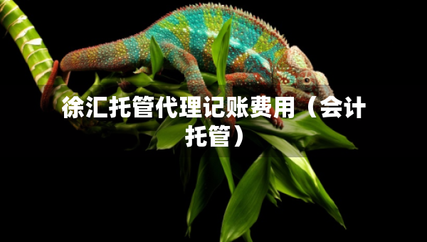 徐匯托管代理記賬費用（會計托管）