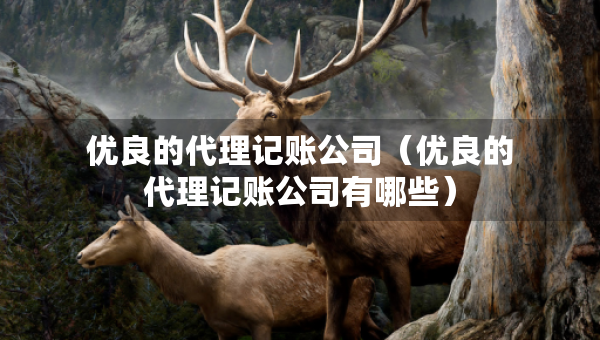 優(yōu)良的代理記賬公司（優(yōu)良的代理記賬公司有哪些）