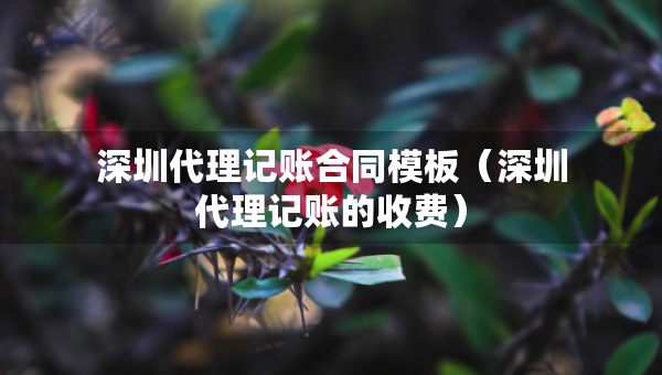 深圳代理記賬合同模板（深圳代理記賬的收費(fèi)）
