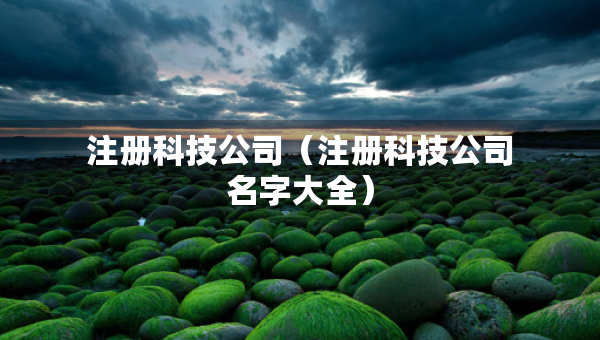 注冊科技公司（注冊科技公司名字大全）