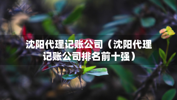 沈陽代理記賬公司（沈陽代理記賬公司排名前十強(qiáng)）