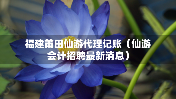 福建莆田仙游代理記賬（仙游會計招聘最新消息）