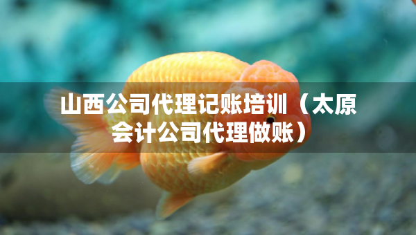 山西公司代理記賬培訓(xùn)(太原會(huì)計(jì)公司代理做賬) 山西公司代理記賬培訓(xùn)(太原會(huì)計(jì)公司代理做賬)