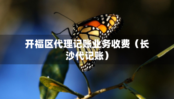 開(kāi)福區(qū)代理記賬業(yè)務(wù)收費(fèi)（長(zhǎng)沙代記賬）