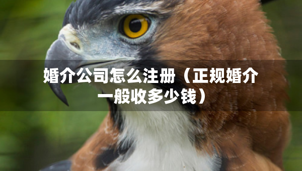 婚介公司怎么注冊(cè)(正規(guī)婚介一般收多少錢) 婚介公司怎么注冊(cè)(正規(guī)婚介一般收多少錢)