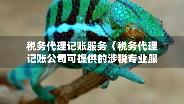 稅務(wù)代理記賬服務(wù)（稅務(wù)代理記賬公司可提供的涉稅專業(yè)服務(wù)）