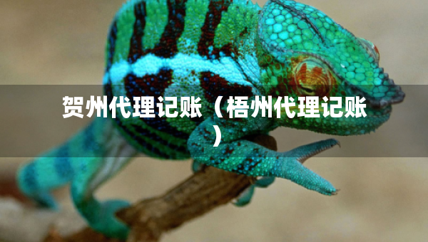 賀州代理記賬（梧州代理記賬）