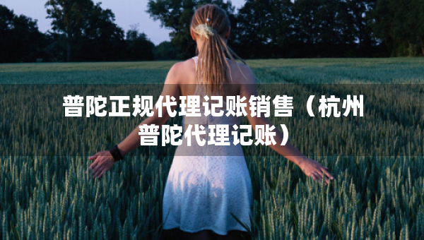 普陀正規(guī)代理記賬銷售（杭州普陀代理記賬）