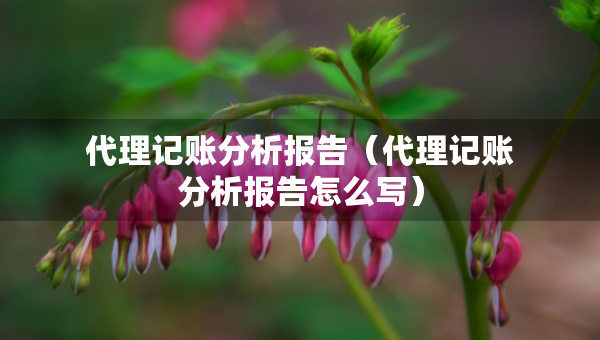 代理記賬分析報告(代理記賬分析報告怎么寫) 代理記賬分析報告(代理記賬分析報告怎么寫)