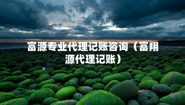 富源專業(yè)代理記賬咨詢（富翔源代理記賬）
