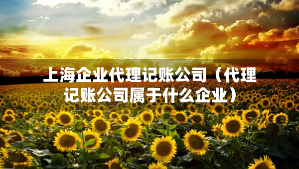 上海企業(yè)代理記賬公司(代理記賬公司屬于什么企業(yè)) 上海企業(yè)代理記賬公司(代理記賬公司屬于什么企業(yè))