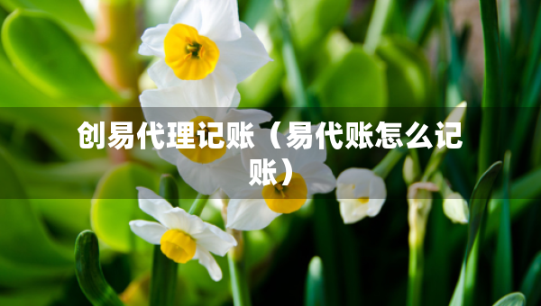 創(chuàng)易代理記賬(易代賬怎么記賬) 創(chuàng)易代理記賬(易代賬怎么記賬)