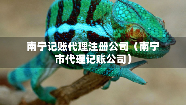南寧記賬代理注冊(cè)公司（南寧市代理記賬公司）