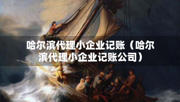 哈爾濱代理小企業(yè)記賬（哈爾濱代理小企業(yè)記賬公司）