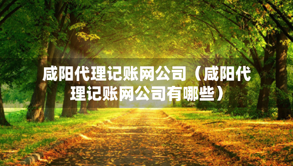咸陽代理記賬網(wǎng)公司（咸陽代理記賬網(wǎng)公司有哪些）