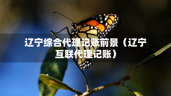 遼寧綜合代理記賬前景（遼寧互聯(lián)代理記賬）