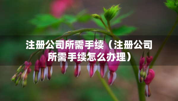 注冊公司所需手續(xù)（注冊公司所需手續(xù)怎么辦理）