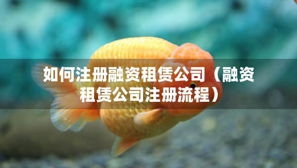 如何注冊(cè)融資租賃公司（融資租賃公司注冊(cè)流程）