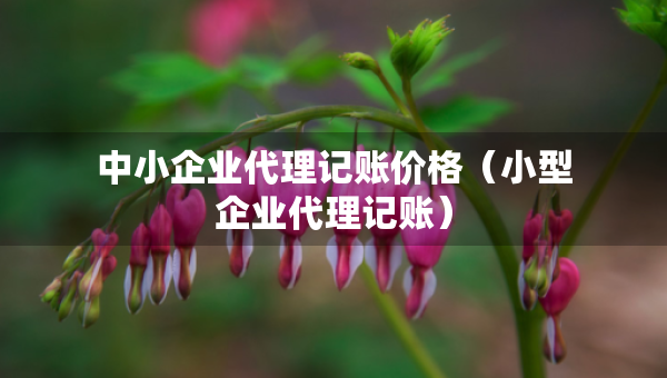 中小企業(yè)代理記賬價(jià)格(小型企業(yè)代理記賬) 中小企業(yè)代理記賬價(jià)格(小型企業(yè)代理記賬)