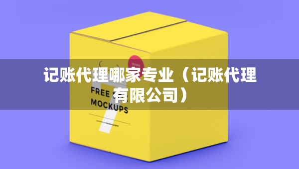 記賬代理哪家專業(yè)（記賬代理有限公司）