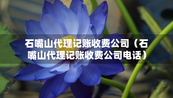 石嘴山代理記賬收費(fèi)公司(石嘴山代理記賬收費(fèi)公司電話) 石嘴山代理記賬收費(fèi)公司(石嘴山代理記賬收費(fèi)公司電話)